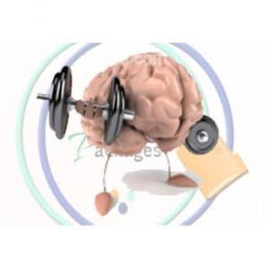 تنشيط الذاكرة والتخطيط الذهني